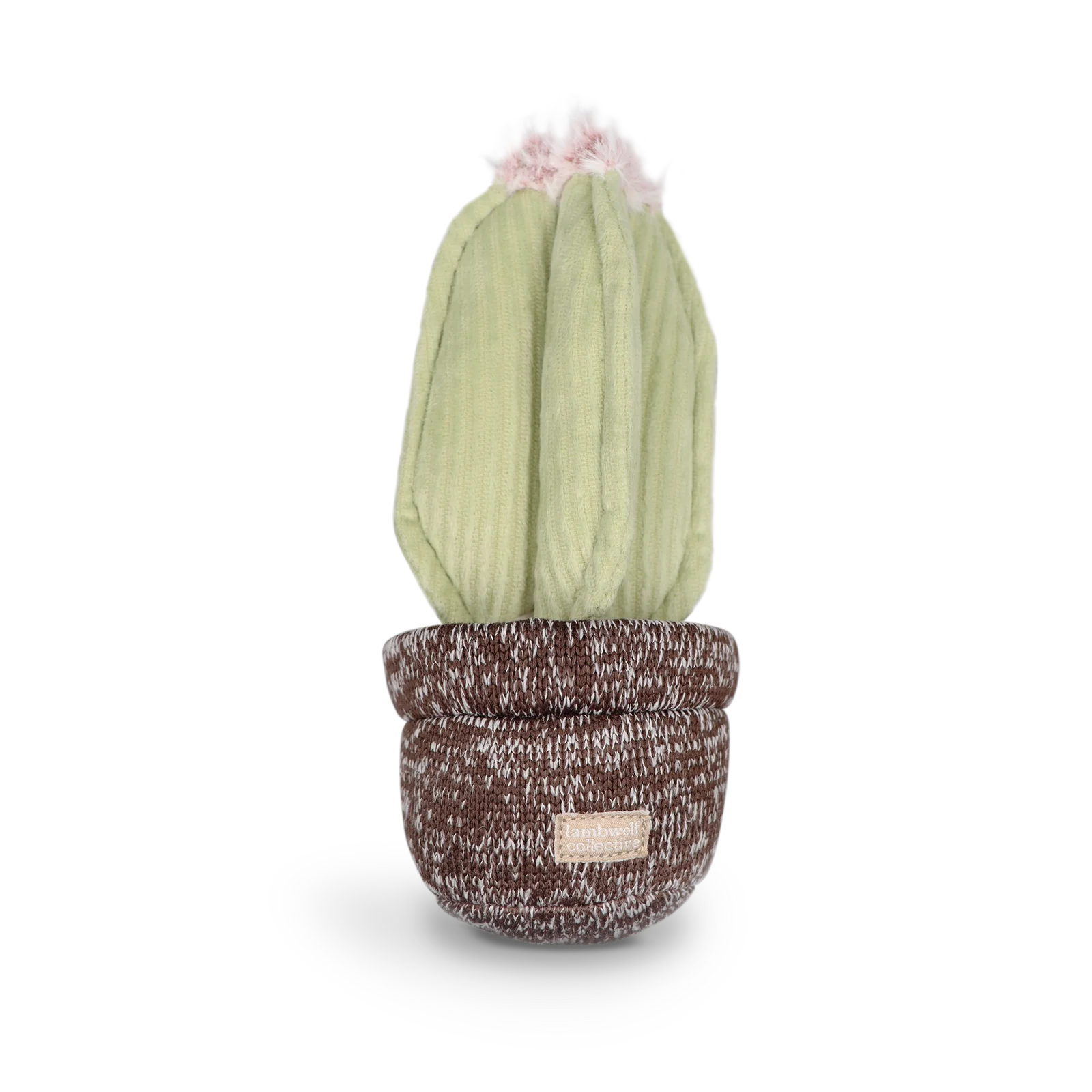 CACTUS - snuffle + squeaky