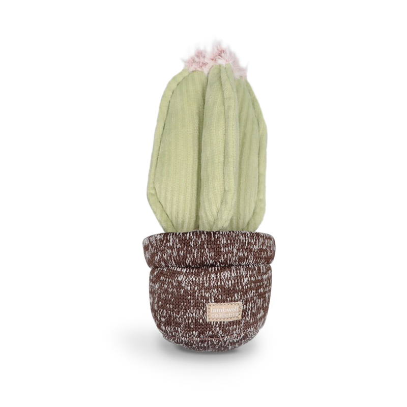 CACTUS - renifle + couine