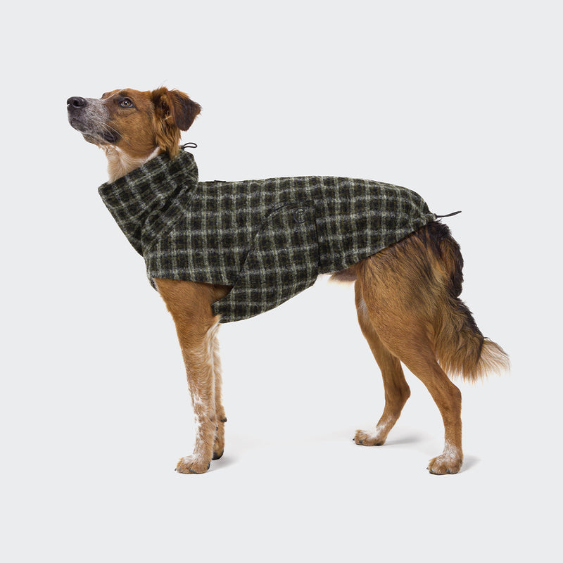 Hundemantel Brooklyn Plaid Green