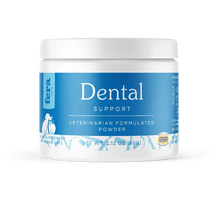 Dental Support for Dogs and Cats