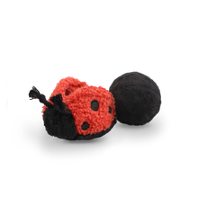 LADYBUG POP - squeaky + bouncy