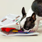 Newspaper Nosework Toy