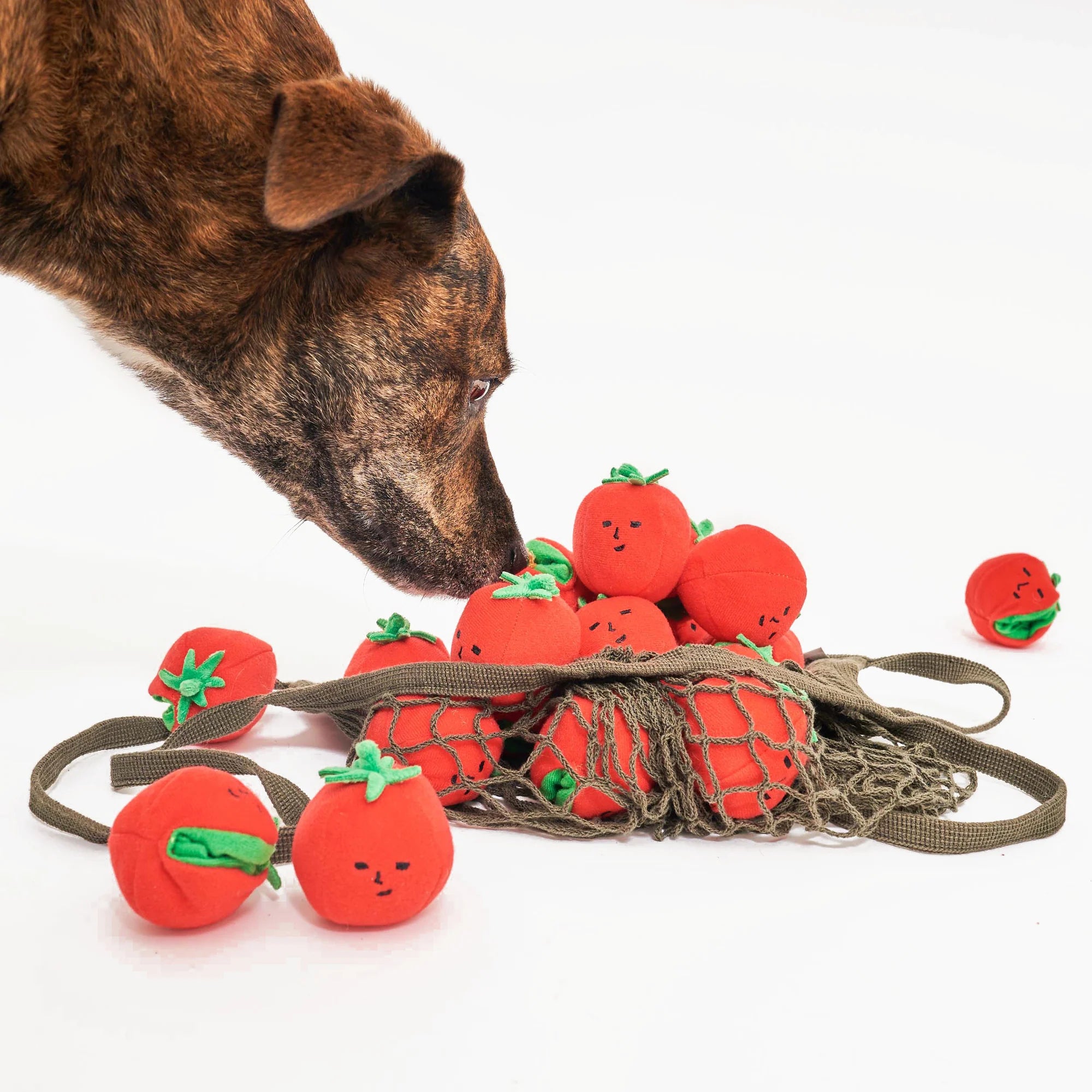 Cherry Tomato Nosework & Tug Toy