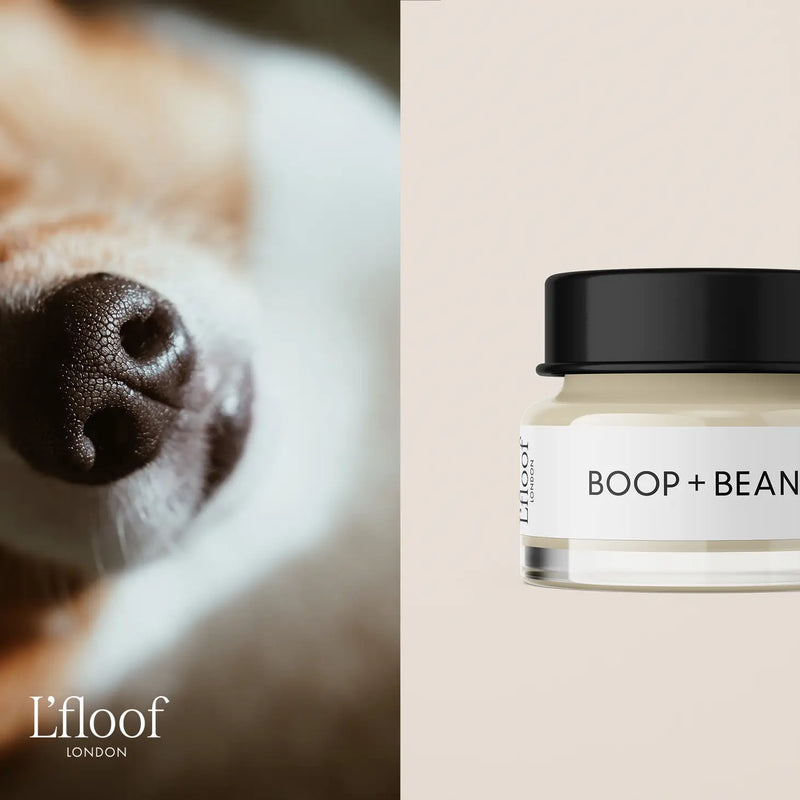 BOOP + BEANS par L'floof London 