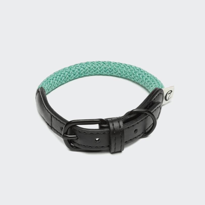 Collier pour chien Mauerpark 