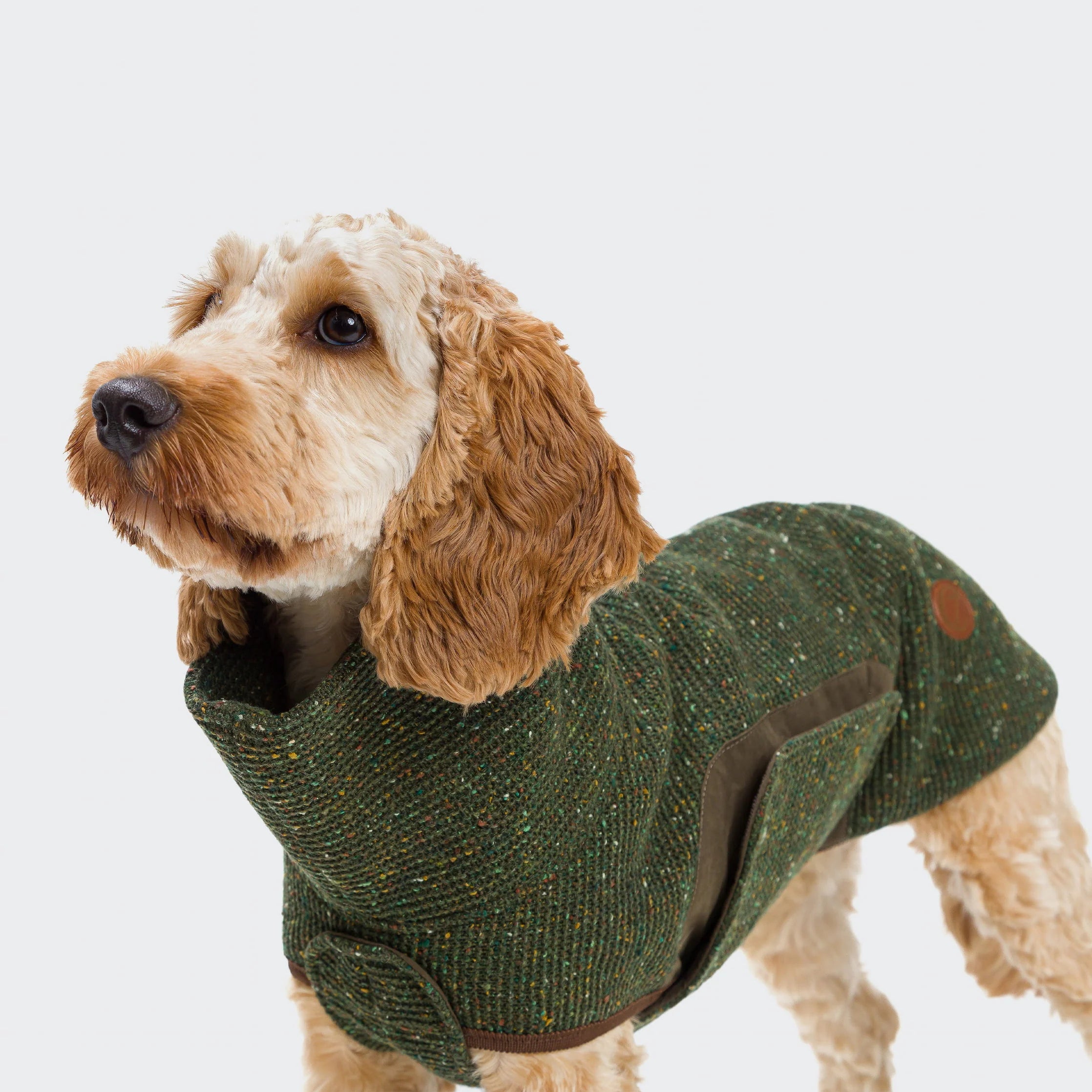 Dog Sweater Dorset Bottle Green