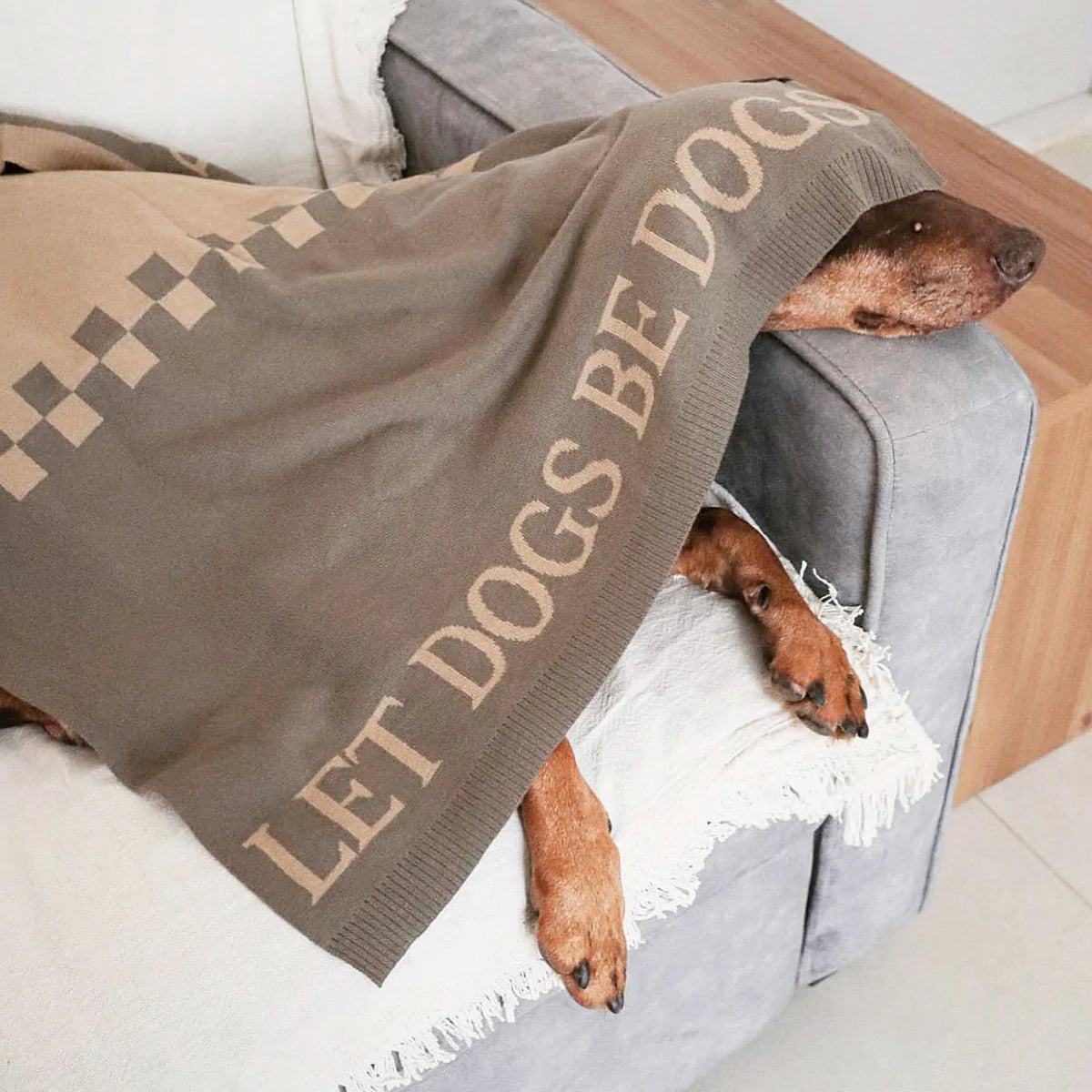 Let Dogs Be Dogs Blanket