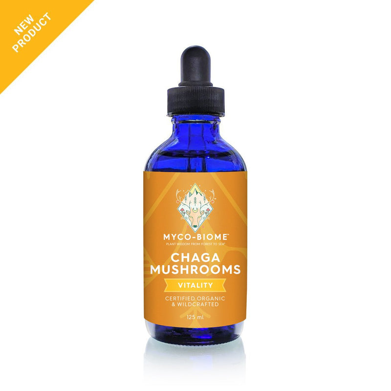 Champignons Chaga | Extrait triple liquide 