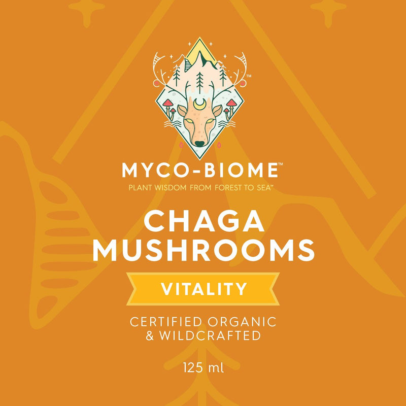 Champignons Chaga | Extrait triple liquide 