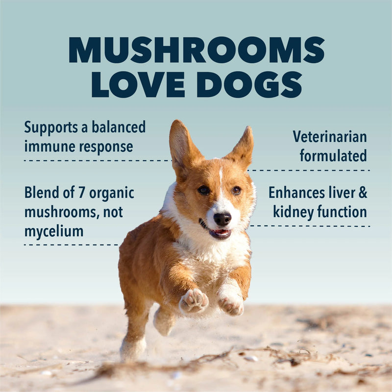 Seven 'Shrooms - Mélange de champignons biologiques