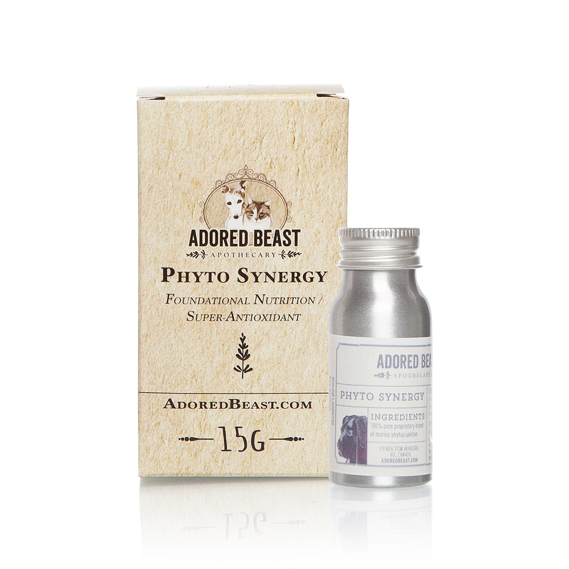 Phyto Synergy | Super antioxydant 