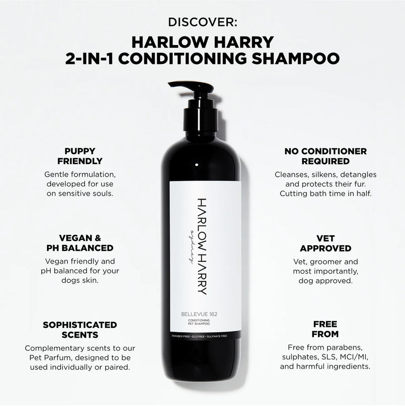 Shampoing revitalisant | Bellevue 162