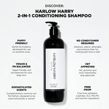 Shampoing revitalisant | Hunter 33